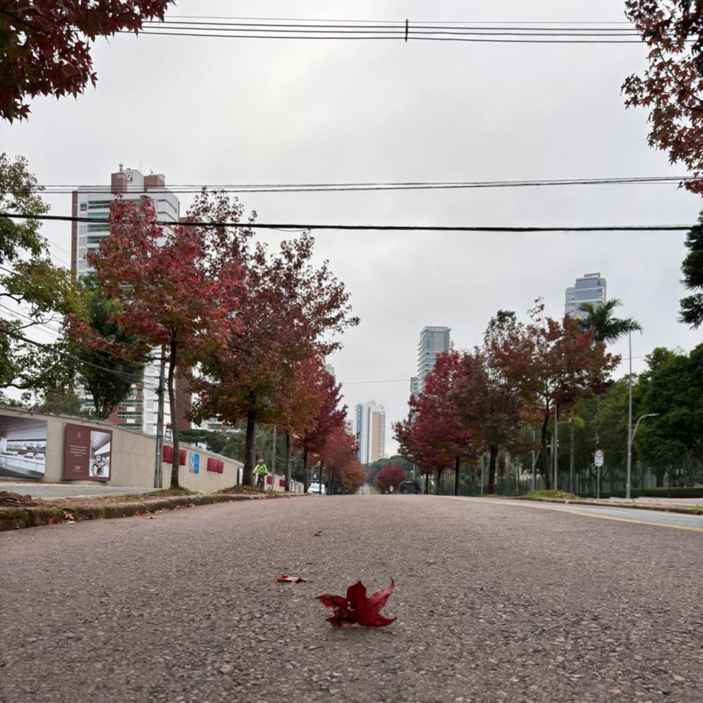 Você tem preenchido o seu vazio com coisas demais?